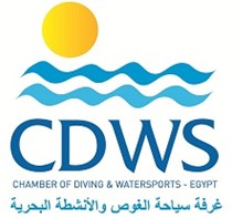 CDWS Red Sea office branch new location and contacts